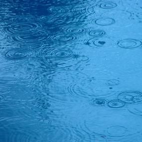 Raindrop ripples on a pond